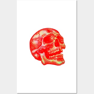 Skull Posters and Art